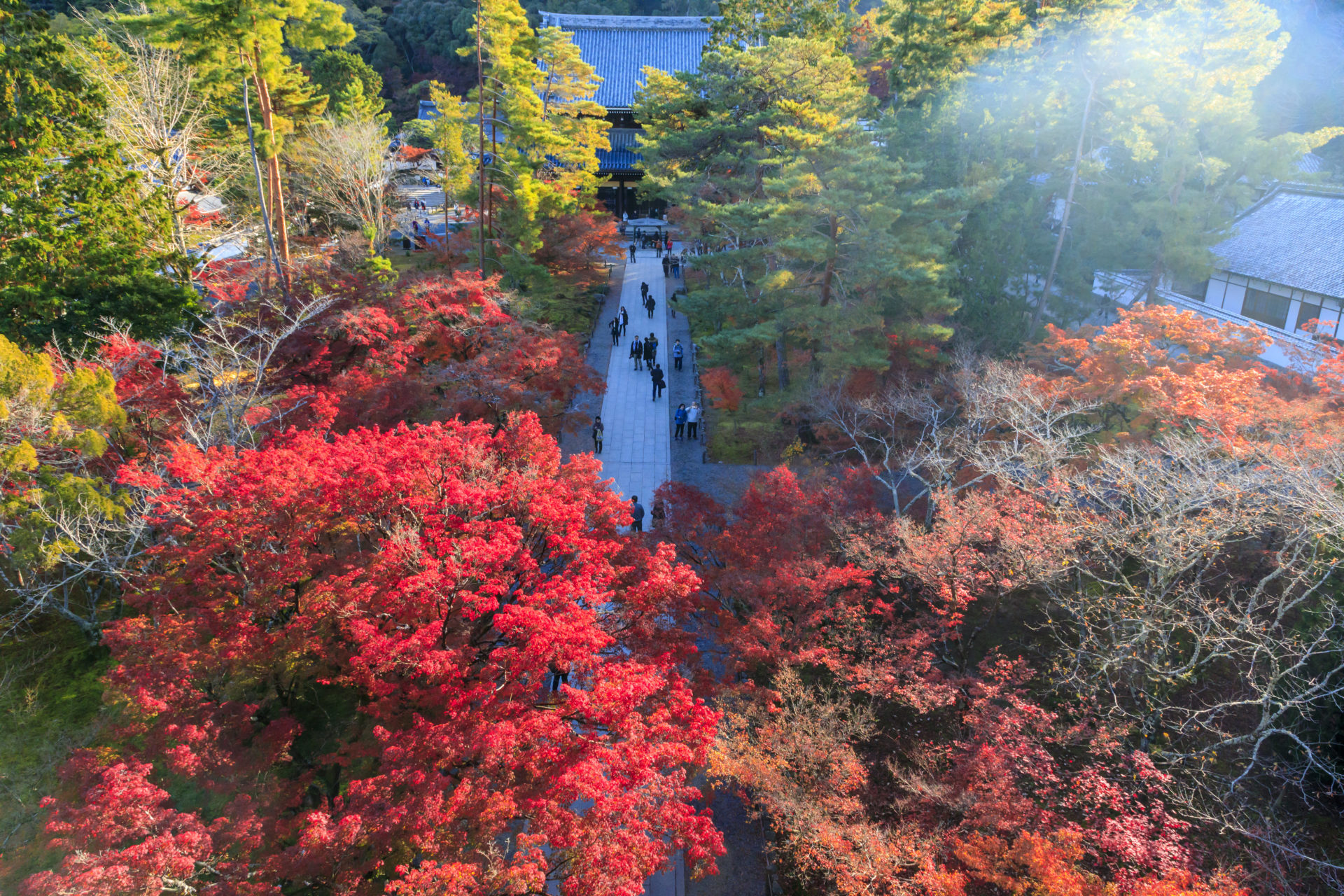 南禅寺　紅葉